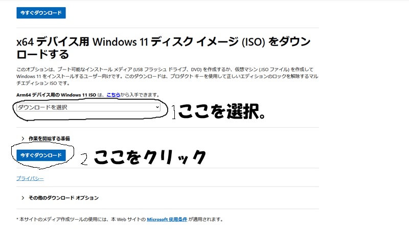 Windows11ISOファイル説明の画像